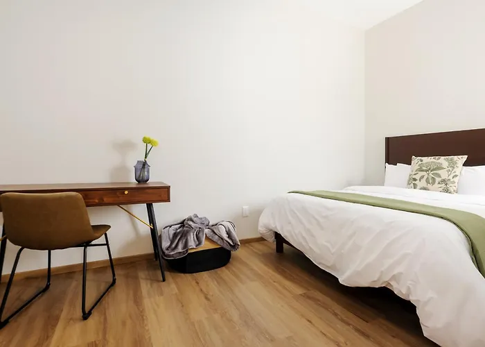 Zaterra, A Tranquil Oasis In Roma Norte