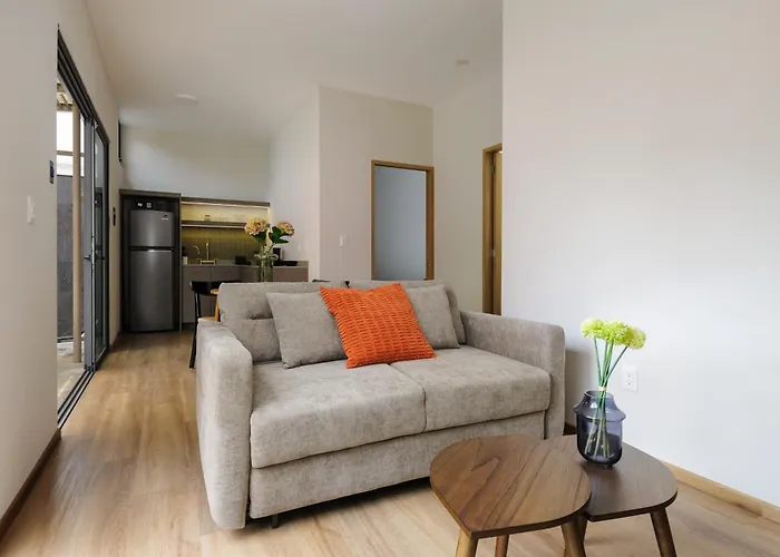 Apartamento Zaterra, A Tranquil Oasis In Roma Norte México DF