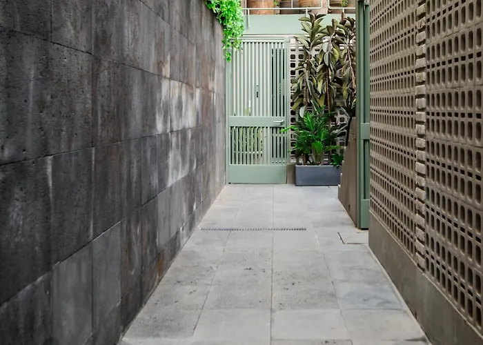 Zaterra, A Tranquil Oasis In Roma Norte *