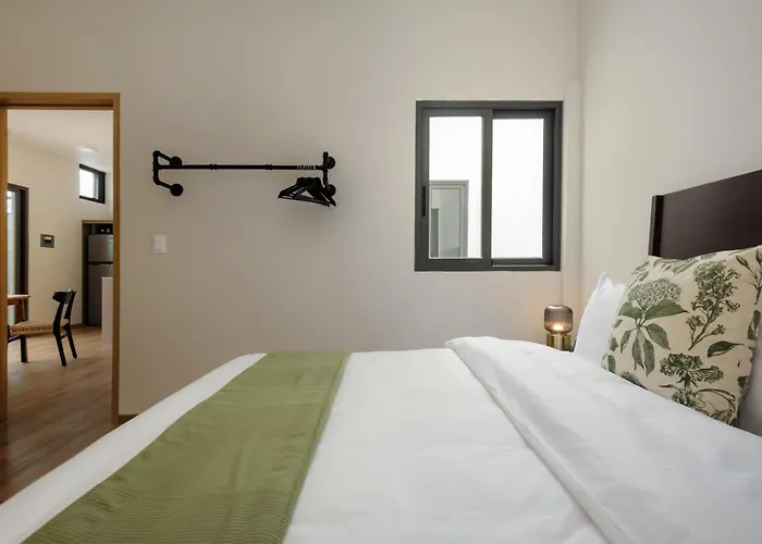 Apartamento Zaterra, A Tranquil Oasis In Roma Norte México DF