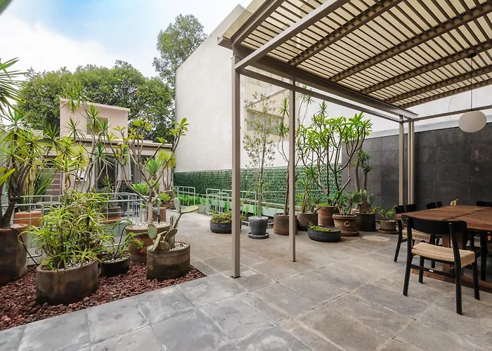 Zaterra, A Tranquil Oasis In Roma Norte México DF
