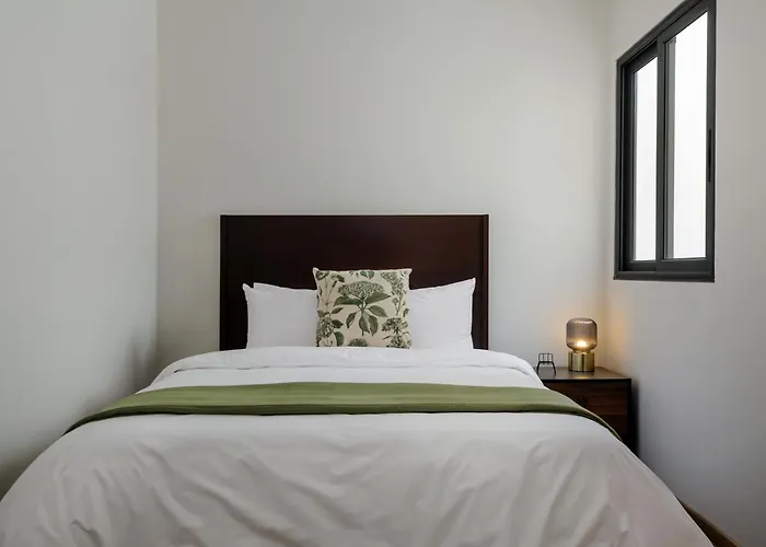 Apartamento Zaterra, A Tranquil Oasis In Roma Norte México DF