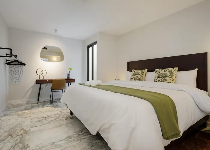 Zaterra, A Tranquil Oasis In Roma Norte Apartamento