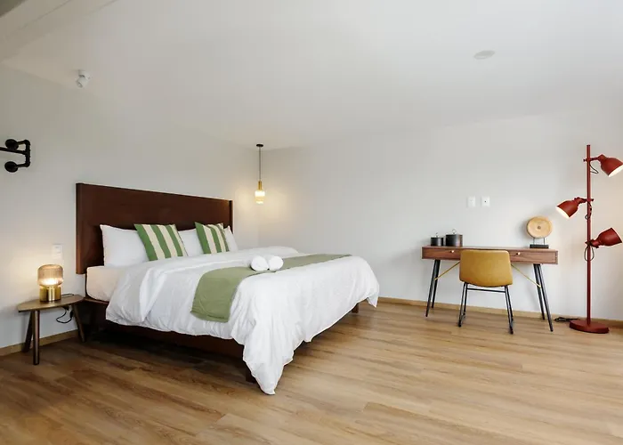 Apartamento Zaterra, A Tranquil Oasis In Roma Norte México DF
